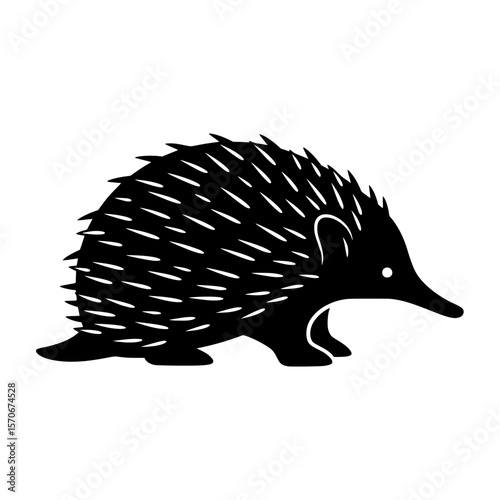 Vector silhouette of a black silhouette of an echidna, a spiny mammal native to Australia, isolated on a white background