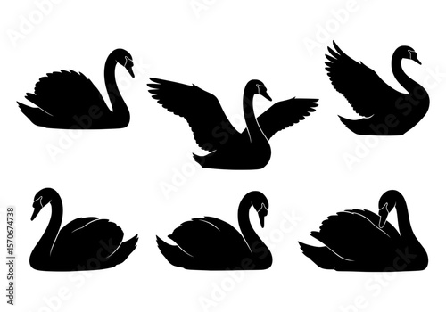 Vector silhouette of a collection of black swan silhouettes in various poses, isolated on a white background