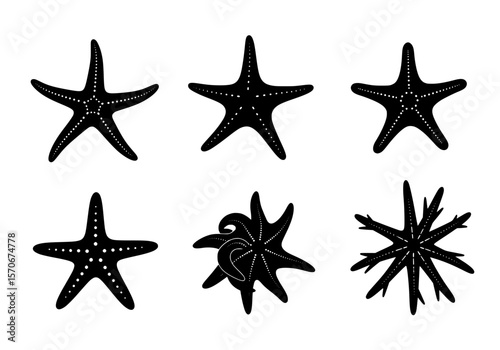 Vector silhouette of a collection of diverse black starfish silhouettes isolated on a white background