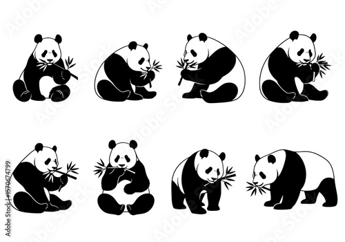 Vector silhouette of a collection of eight adorable panda silhouettes eating bamboo, isolated on white background