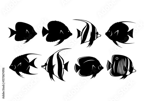 Vector silhouette of a collection of eight distinct black fish silhouettes isolated on a white background