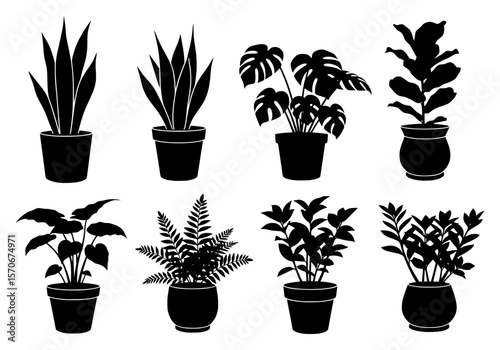 Vector silhouette of a collection of eight diverse potted houseplants in black silhouette, isolated on a white background