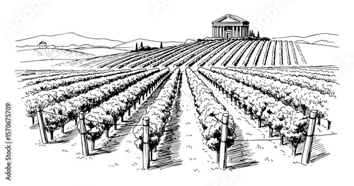 vineyard landscape with classical temple winery line art illustration