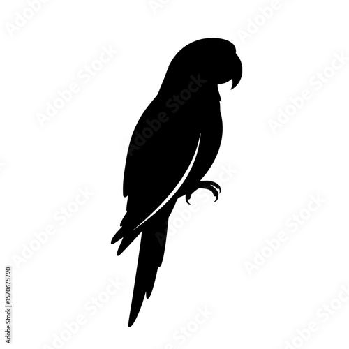 Vector silhouette of a striking black silhouette of a parrot perched against a clean white background