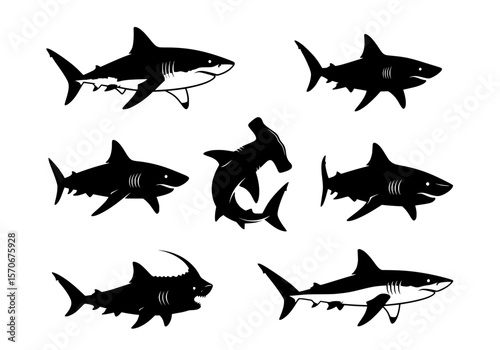 Vector silhouette of a striking collection of diverse shark silhouettes isolated on a white background
