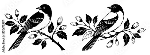 songbird pair perched on leafy branch line art illustration