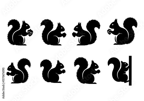 Vector silhouette of collection of black squirrel silhouettes in various poses isolated on white background