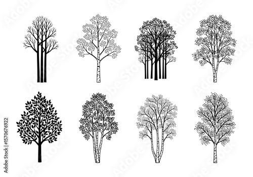 Vector silhouette of collection of eight diverse tree silhouettes isolated on white background