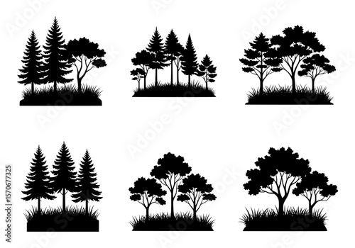 Vector silhouette of collection of six black tree silhouettes isolated on a white background