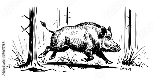 wild boar running in the forest sketch vector illustration