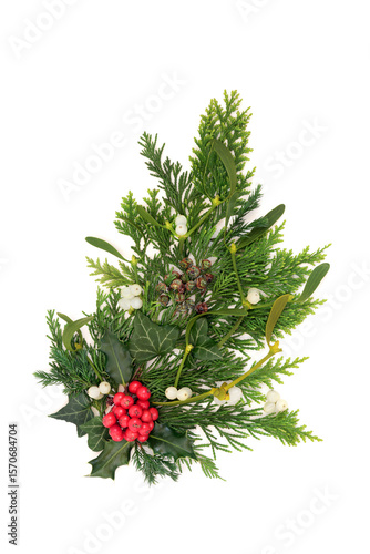 Wallpaper Mural Winter Christmas flora, holly, mistletoe, ivy, cedar fir greenery. Traditional festive natural decoration, wicca, pagan, druid nature solstice symbols. 
 Torontodigital.ca
