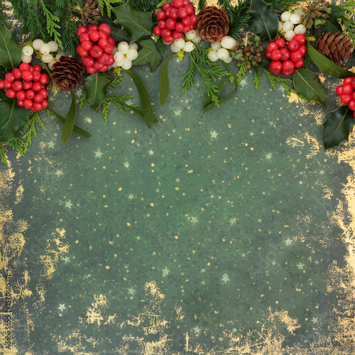 Wallpaper Mural Christmas winter flora abstract nature background border, red holly berries, mistletoe, ivy, cedar fir on grunge green gold. Natural pagan wicca druid fauna. Torontodigital.ca
