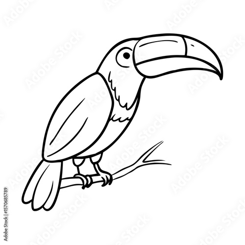 Doodle animal for toucan bird 