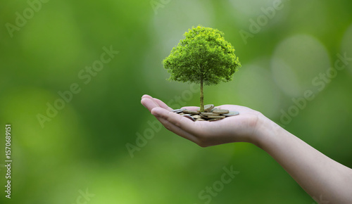 Green business concept. A hand holds coins with a small tree growing from them, symbolizing financial growth or investment. Saving money for the future. Business Growth. ESG. CSR. Carbon credit.
