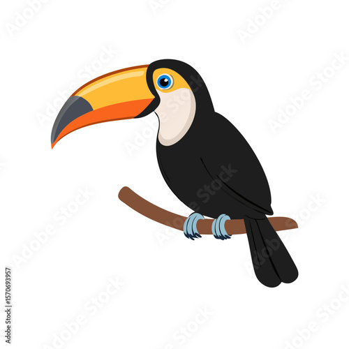 Toucan bird isolate 