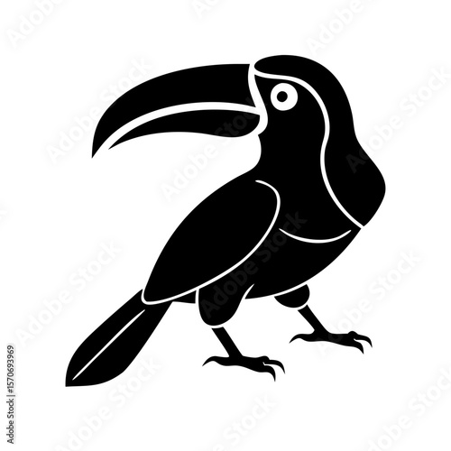 Toucan bird isolate 