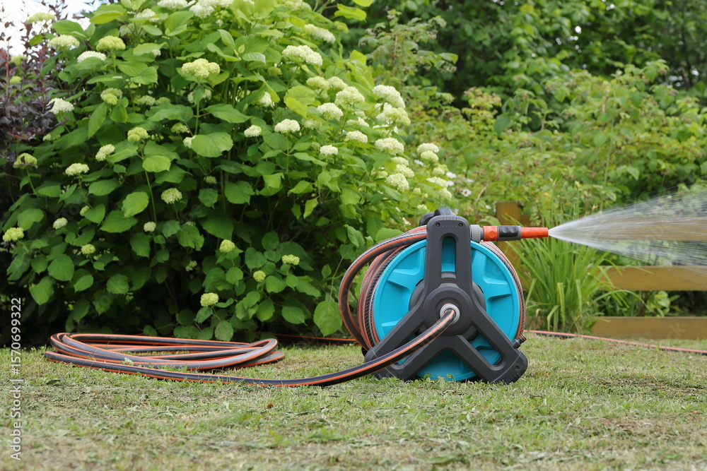 Fototapeta premium A garden hose reel with sprayer nozzle is spraying water next to a yellow wooden hedge in a summer garden on the background of shrubs and garden plants.