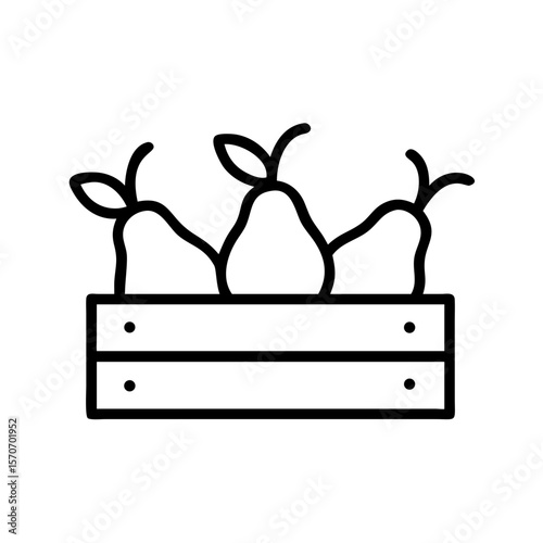 Crate of pears with fresh fruits in minimalist line art style  