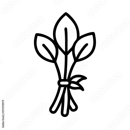 Bundle of herbs with leaves tied together for culinary use  