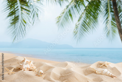 Light tropical sand beach with shells against blue sky and palm leaves as natural blurred background