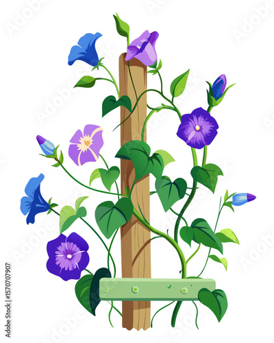 Captivating morning glories twining around a wooden post create a beautiful floral arrangement suitable for springtime designs.