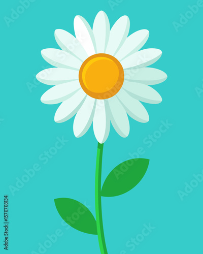 Cheerful white daisy flower with green stem, a simple and elegant design element suitable for spring themes or botanical graphics.