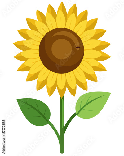 A cheerful sunflower blossom with green leaves, perfect as an element for summer designs and bright floral graphic compositions.