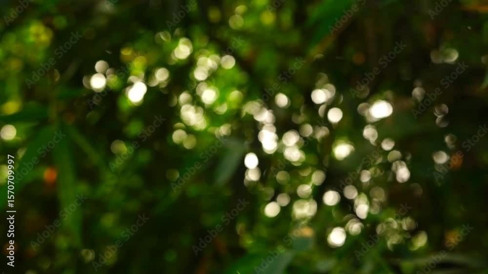 Blurred green bokeh background	