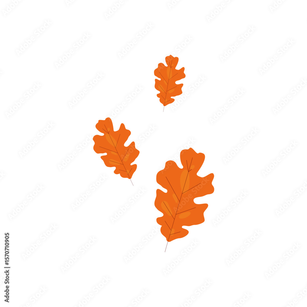 Obraz premium Autumn Leaf Clusters