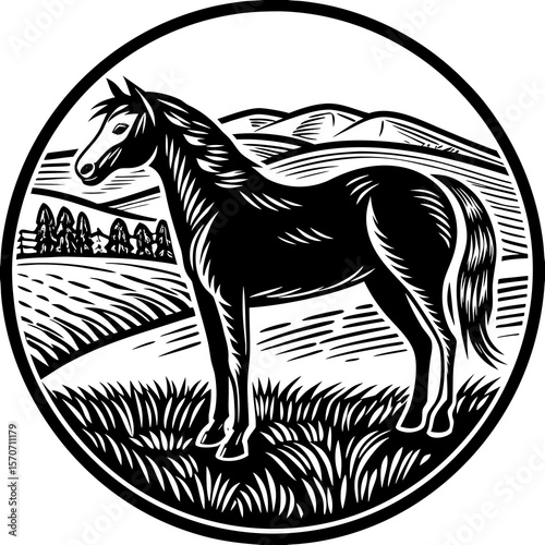 hand drawn vector illustration of an elephant