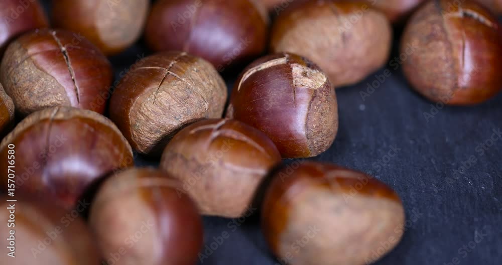 cut edible chestnut fruits for frying or baking , preparation by cutting the shells of edible chestnut nuts for baking, close up cut edible chestnut fruits for frying or baking , preparation by cutting the shells of edible chestnut nuts for baking, close up