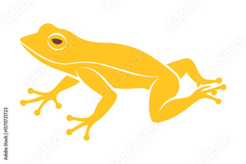 Stylized yellow frog with detailed limbs and eyes on white background