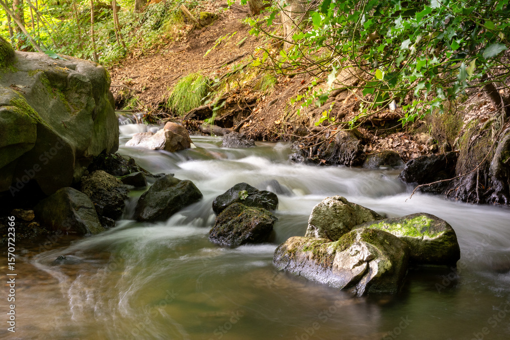 Fototapeta premium small waterfall in the forest