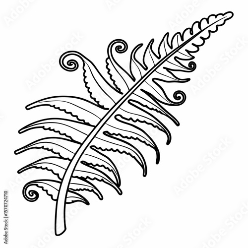 Detailed black and white fern leaf outline isolated on white background
