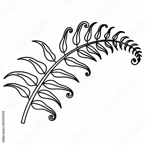 Elegant black and white fern frond silhouette with curved end on white background