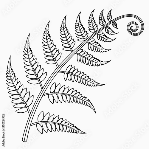 Elegant black and white illustration of a fern frond against a white background