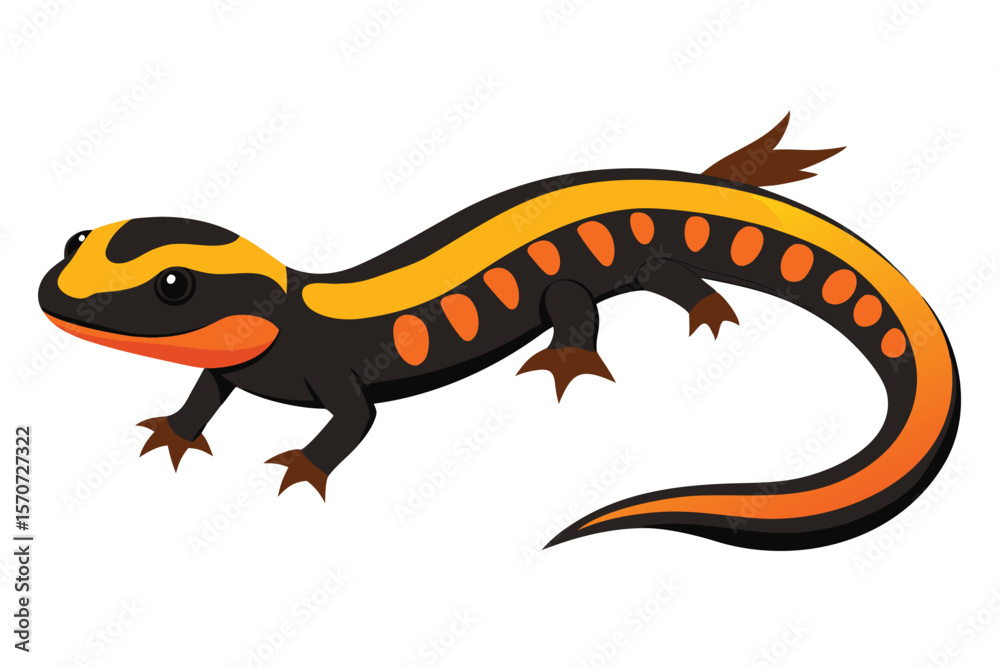 Obraz premium Vibrant cartoon salamander with orange and yellow markings on white