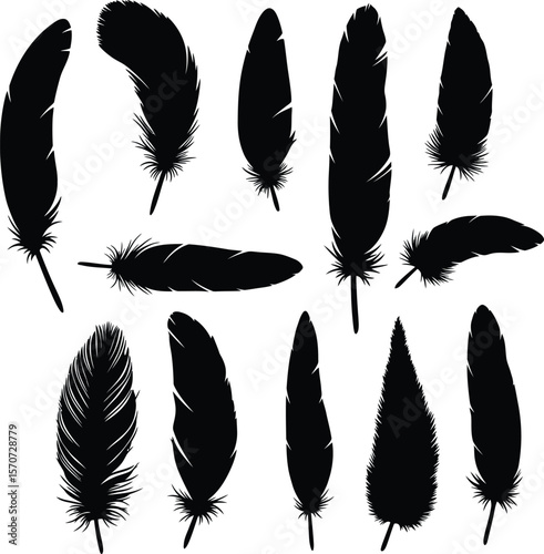 Detailed Feather Silhouettes Set: Collection of various bird feathers in black with subtle texture, ideal for nature, bohemian, and indigenous-themed designs.