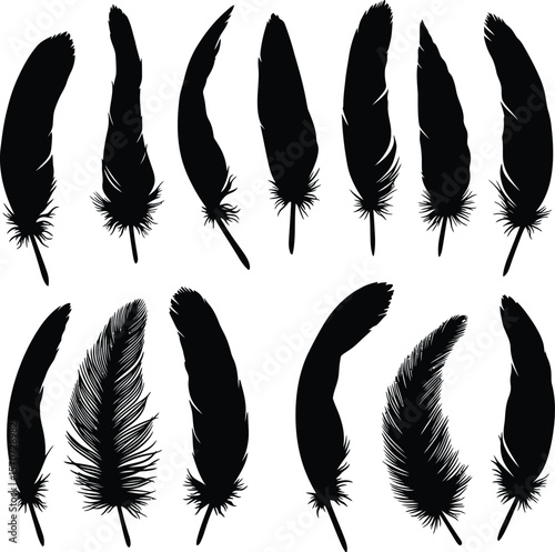 Feather Silhouettes Collection: Diverse set of various bird feathers in black, ideal for nature, bohemian, dreamcatcher, and spiritual-themed designs.