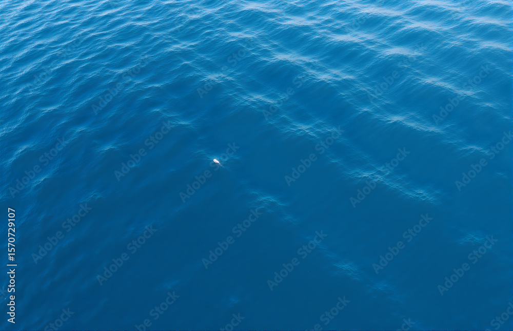 Fototapeta premium Blue Sea Surface and White Floating Object