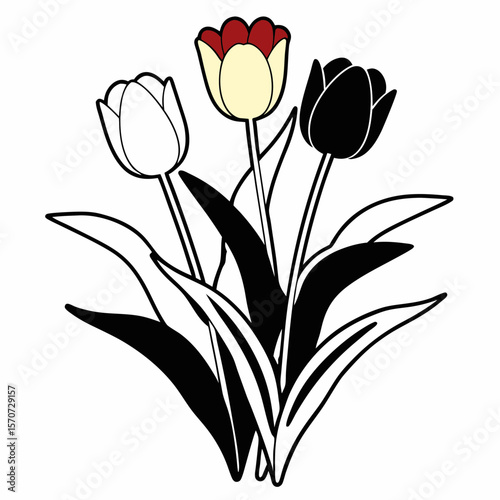 Elegant tulip bouquet illustration in a clean black and white minimalist style