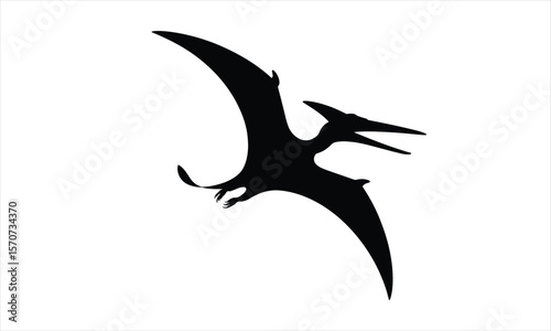 Pterodactyl flying prehistoric creature silhouette