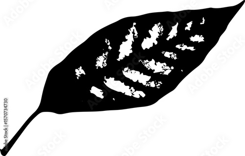 Black and white vector leaf.