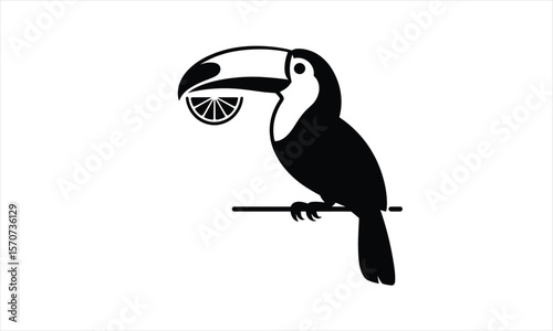 Tropical toucan bird silhouette