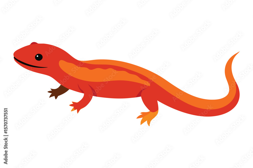 Fototapeta premium Bright orange salamander with dark stripes on a white background