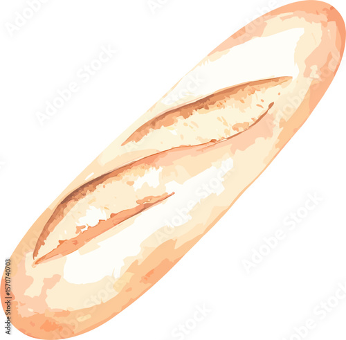 Baguette watercolor vector illustration