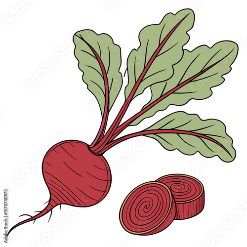 beetroot isolated on white