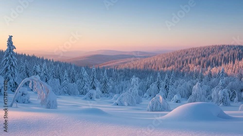 Winter Wonderland Sunrise, Snowy Forest Panorama