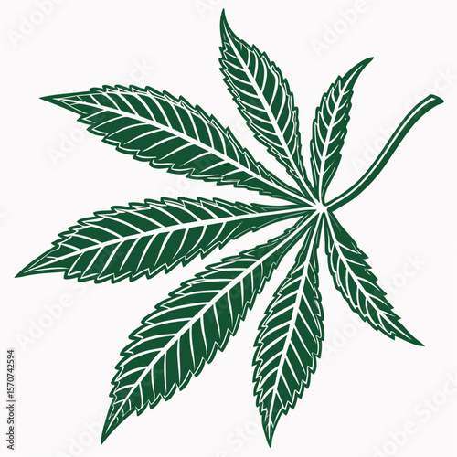 Dark green cannabis leaf with white veins marijuana leaf