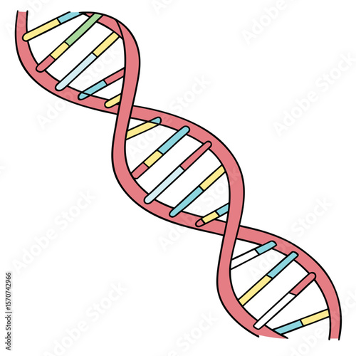 Double helix structure with colorful segments molecule